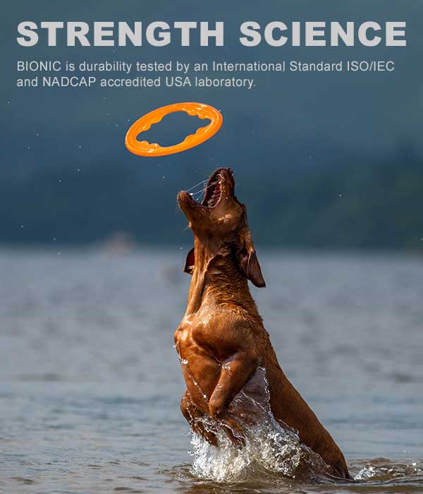 Bionic Toss-N-Tug Turboᵀᴹ Dog Toy