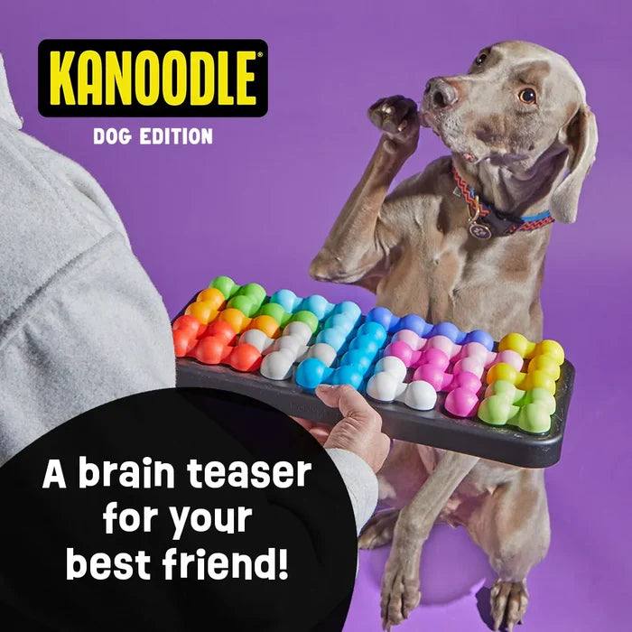 Brightkins Kanoodle Dog Edition