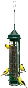 Brome Bird Care Inc Squirrel Buster Finch Bird Feeder