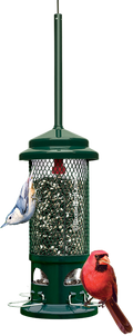 Brome Squirrel Buster Standard