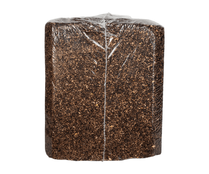 Buck Bourbon 110 Proof Deer Attractant Block
