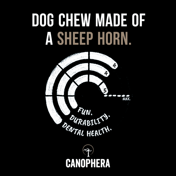 Canophera Sheep Horn Chews for Dogs