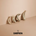 Canophera Sheep Horn Dog Chews