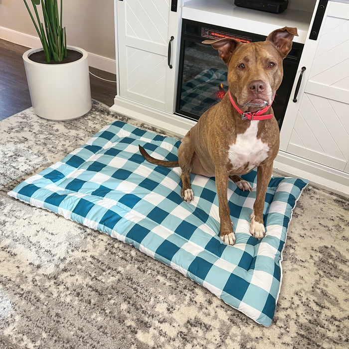 Check Me Out Blue Pet Bed Comforter
