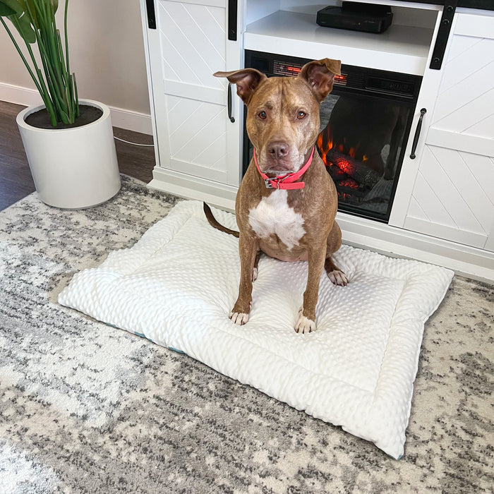 Check Me Out Blue Pet Bed Comforter