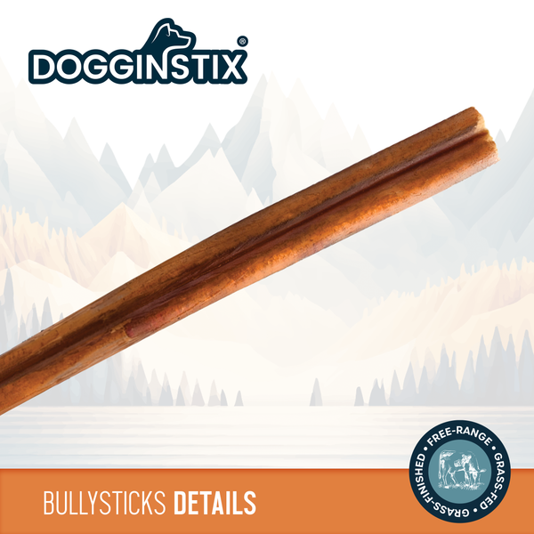 Dogginstix Bully Sticks 24" Cane Dog Treats