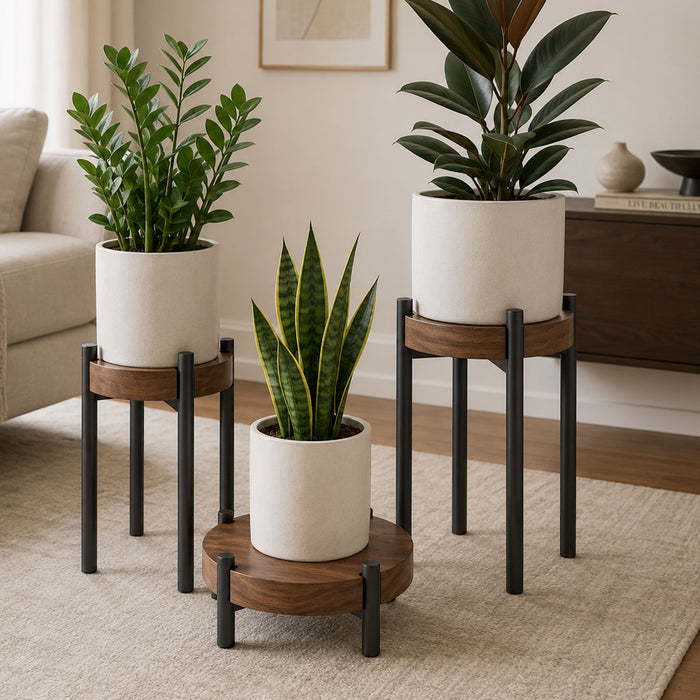 Three green plants in white pots displayed on Fern Plant Stand (Walnut) with black steel legs in a minimalist living room setting focusing on wall shelves and organization.