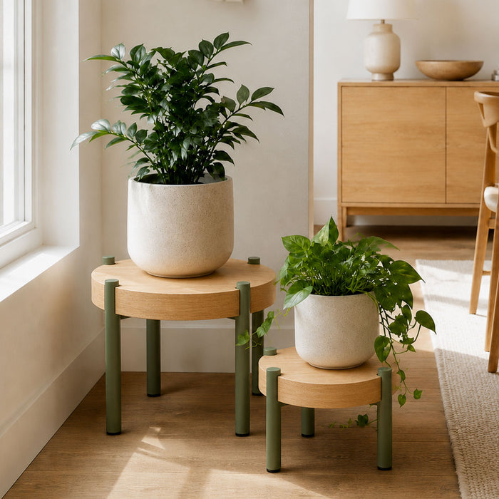 Fern Plant Stand (Walnut) with green metal legs holding potted plants in a sunlit minimalist living space featuring natural wood furniture and neutral decor.