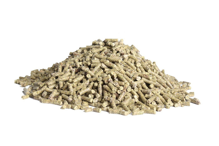 Fill 'Er Up® Show Supplement