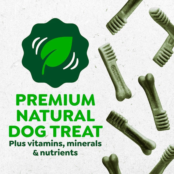 Greenies Adult Dental Dog Treats Regular Size Original