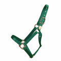 Hamilton 1" Draft Deluxe Nylon Halters Dark Green