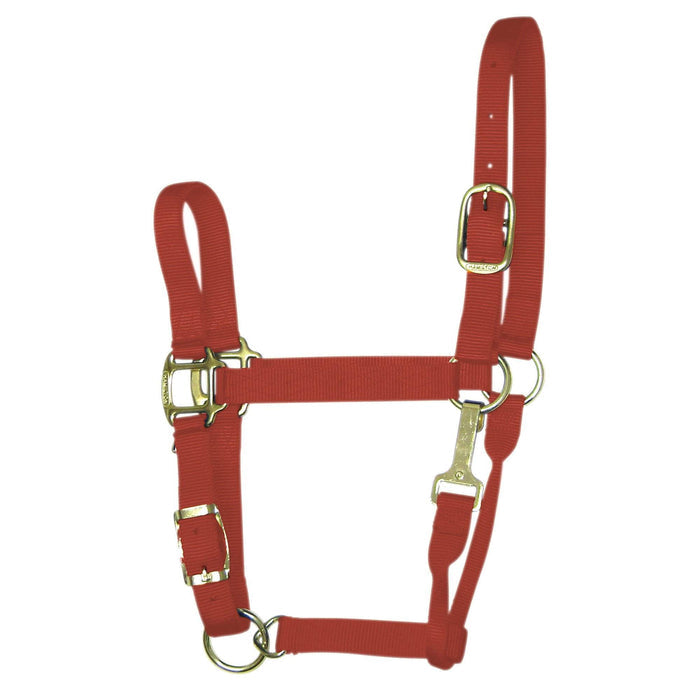 Hamilton 1" Quality Nylon Halters with Adjustable Chin Strap & Snap