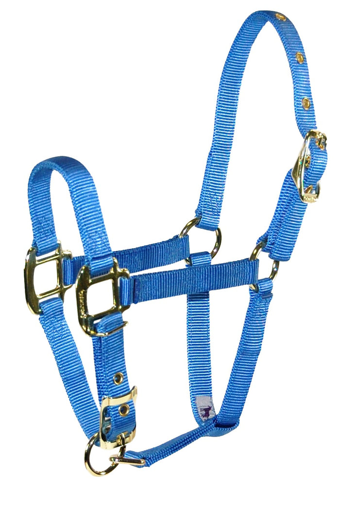 Hamilton 3/4" Deluxe Nylon Halters with Adjustable Chin Strap, Blue Foal