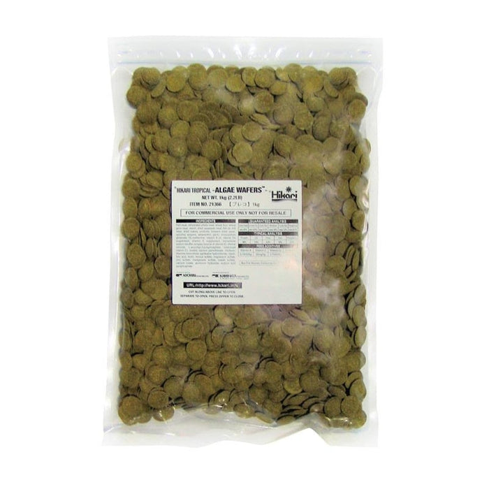 HIKARI ALGAE WAFERS