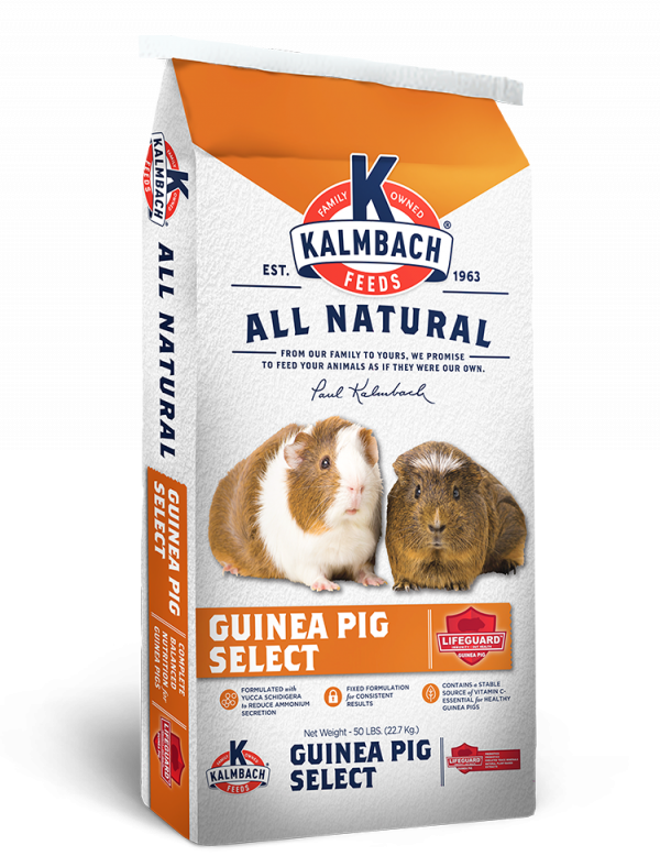 Kalmbach Guinea Pig Select