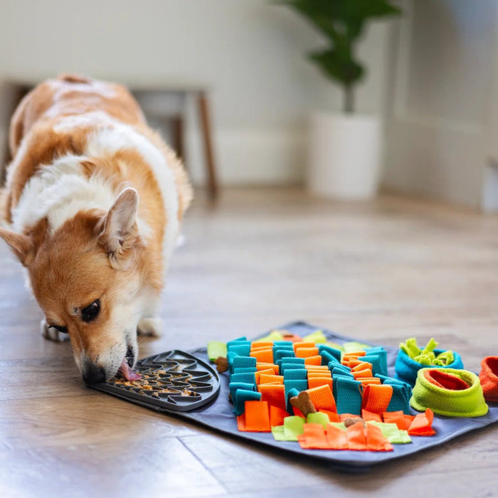 Messy Mutts Square Forage/Snuffle Mat plus Lick Mat, 16" x 16"