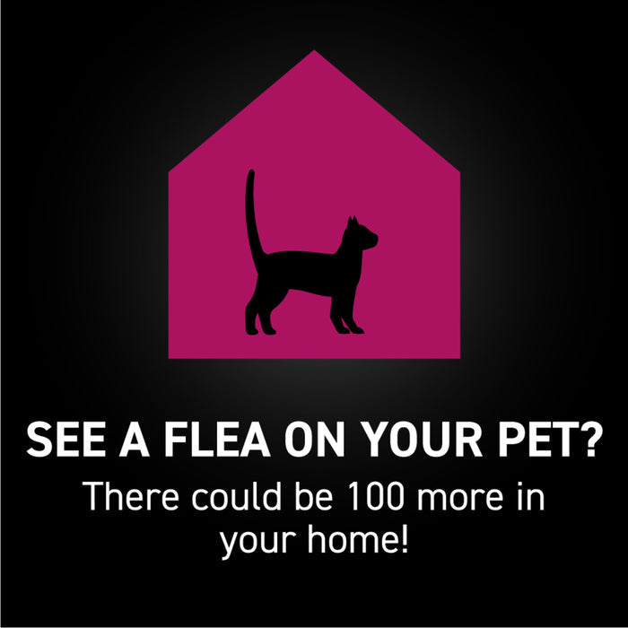 Nextstar NextStar® Flea & Tick Topical for Cats