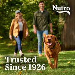 Nutro Natural Choice Large Breed Senior Dog Food, Chicken & Brown Rice Recipe