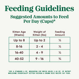 Nutro Wholesome Essentials Chicken & Brown Rice Recipe Kitten Dry Cat Food