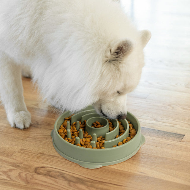 Outward Hound Fun Feeder Circle Sge LG