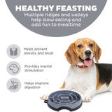 Outward Hound Fun Feeder Maze Gry