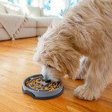 Outward Hound Fun Feeder Maze Gry