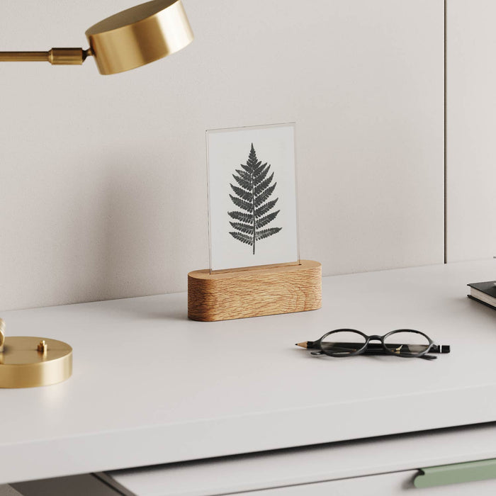 Pill Picture Holder with solid hardwood base displaying fern print on clean white desk with gold lamp and glasses nearby