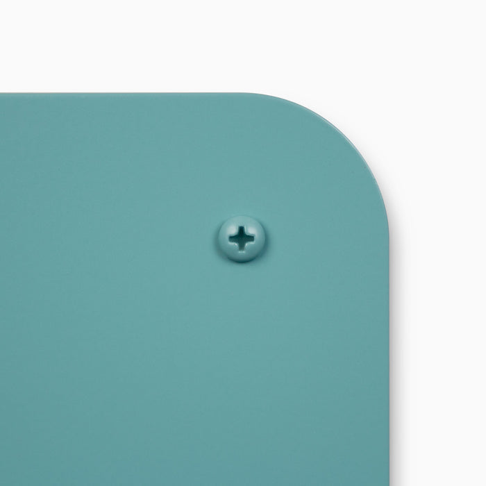 Powder Coated Fasteners (12ct) in aquasocks color showing a close-up of a single screw with smooth matte finish