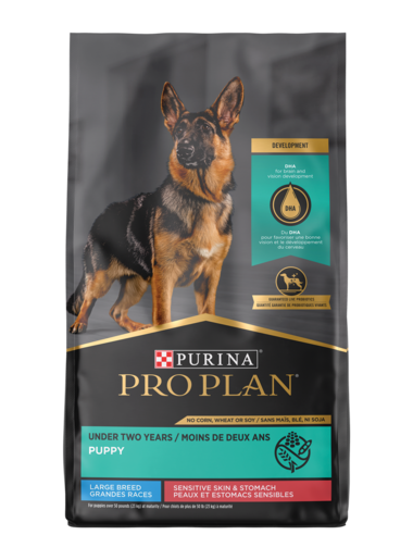 Pro Plan Sensitive Skin & Stomach Salmon & Rice Large Breed Probiotic Dry Puppy Food