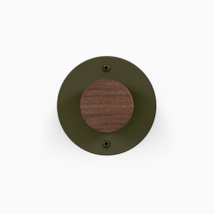 Walnut Clear / Forest
