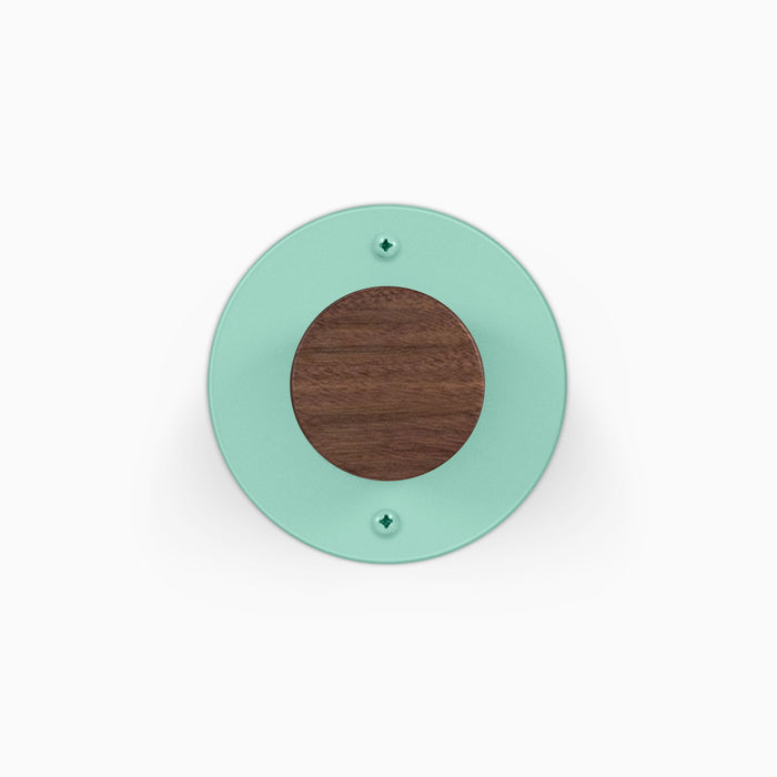 Walnut Clear / Aqua Socks