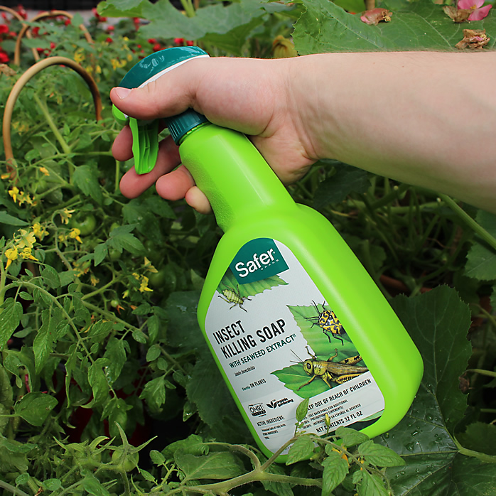 SAFER® BRAND INSECT KILLING SOAP WITH SEAWEED EXTRACT RTU