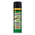 SPECTRACIDE® WASP & HORNET KILLER3 (AEROSOL)