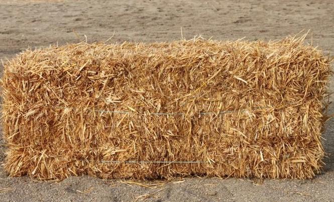 Straw