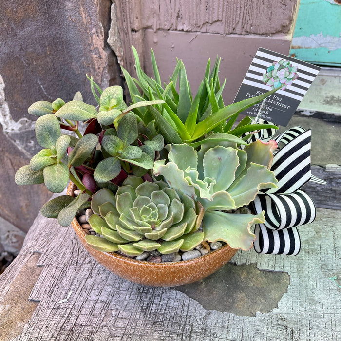 Succulent & Cactus Gardens