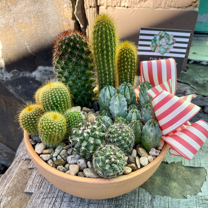 Succulent & Cactus Gardens