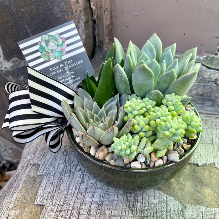 Succulent & Cactus Gardens