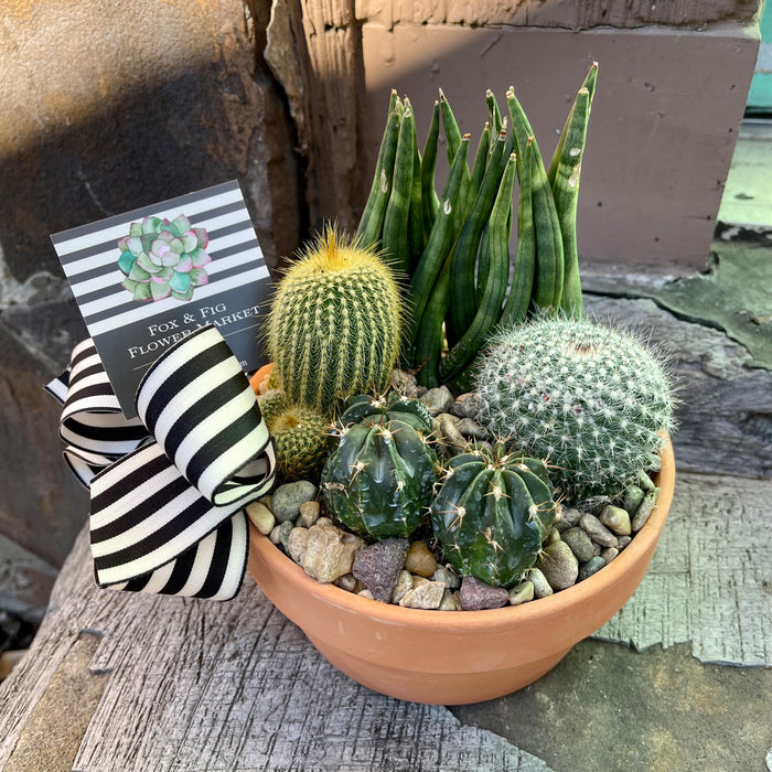 Succulent & Cactus Gardens