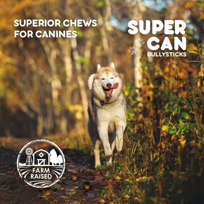 Supercan 12" Standard Bully Sticks