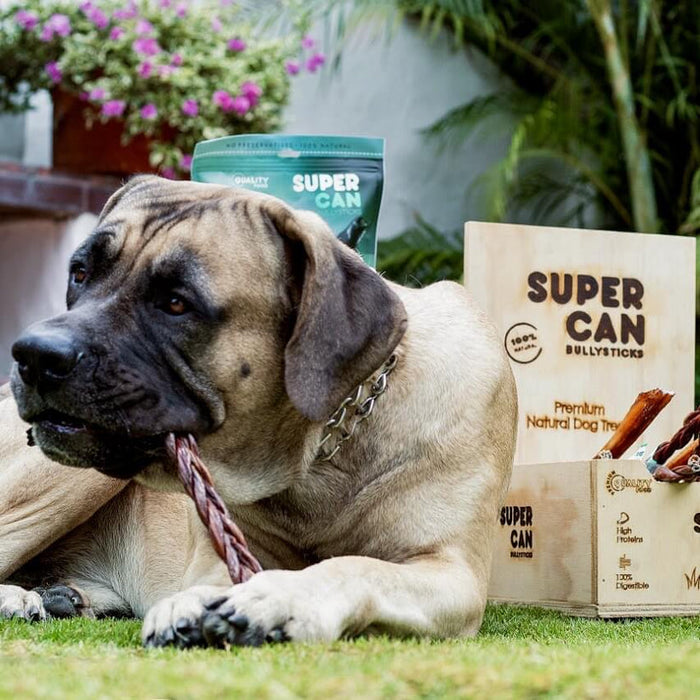 Supercan 6" Braided Bully Sticks
