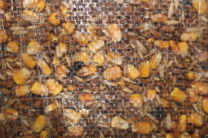 TCF 16% Goat AN w/Ammonium Chloride
