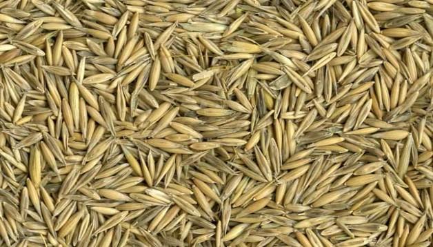TCF Oats