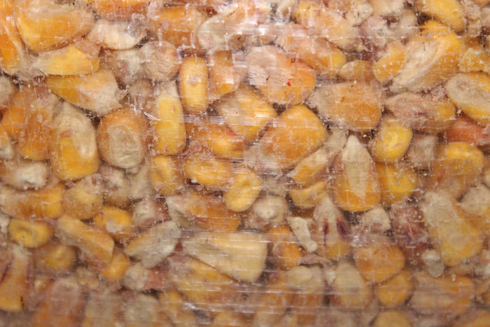 TCF Shell Corn