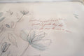 TM Home ( La Vie ) Embroidered Duvet Cover Set – 100% Natural Cotton 600 TC | Luxury Hotel Bedding