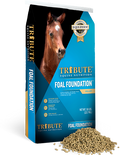 Tribute Foal Foundation™