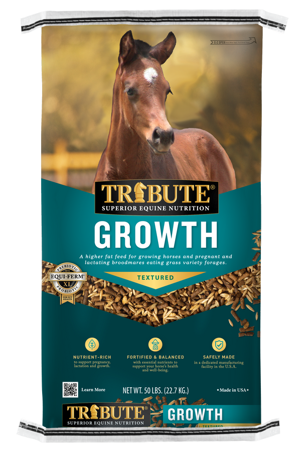 Tribute Growth Textured
