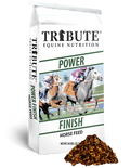 Tribute Power Finish®
