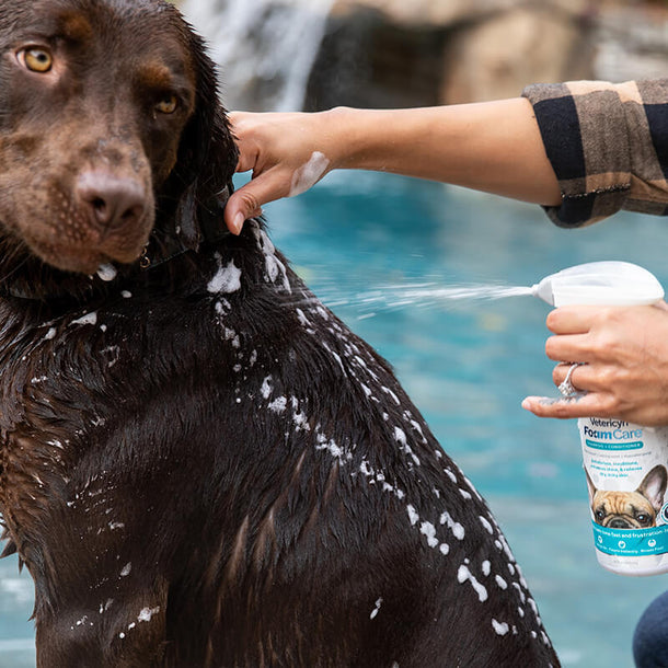 Vetericyn FoamCare® Pet Shampoo