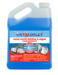 Wet & Forget Outdoor Cleaner Concentrate Moss, Mold, Mildew & Algae Stain Remover