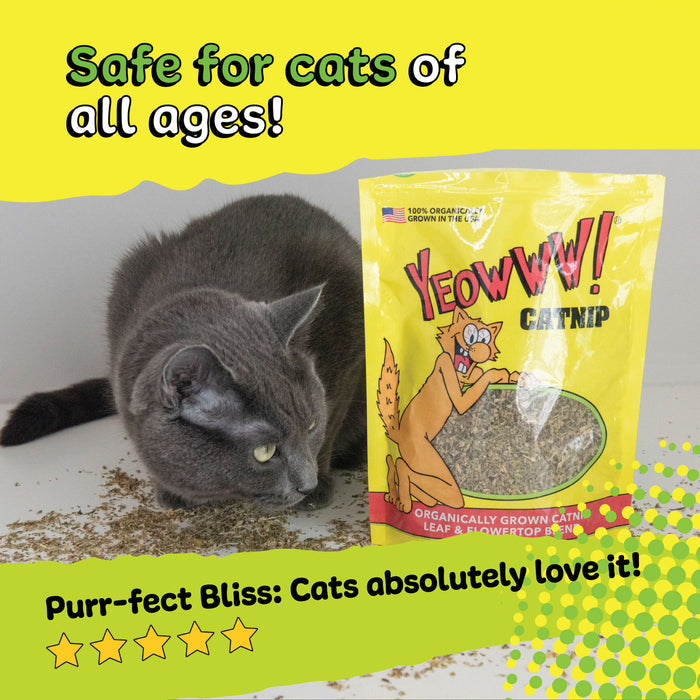 Yeowww! Catnip Pouch